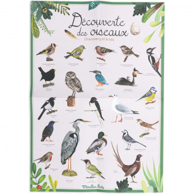 Découverte des oiseaux Le Jardin du Moulin - Moulin Roty