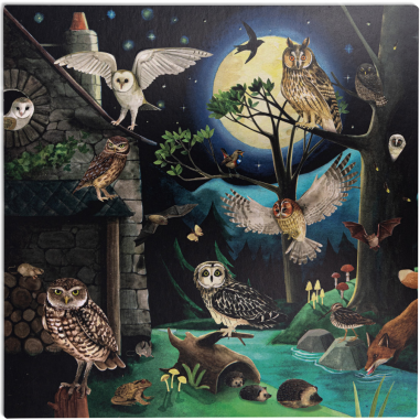 Découverte des oiseaux Le Jardin du Moulin - Moulin Roty