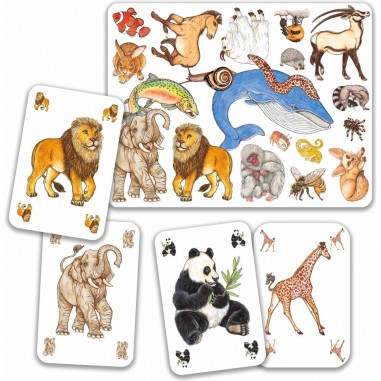 Jeux de Cartes - Zanimatch - Jeu de société - Djeco