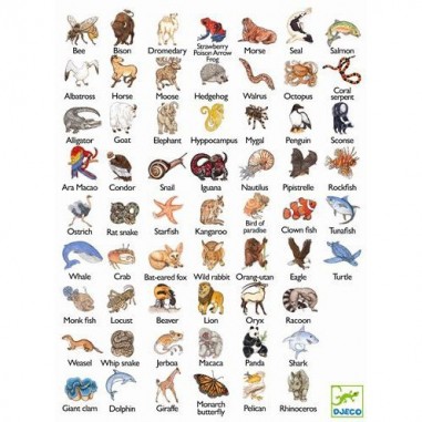 Jeux de Cartes - Zanimatch - Jeu de société - Djeco