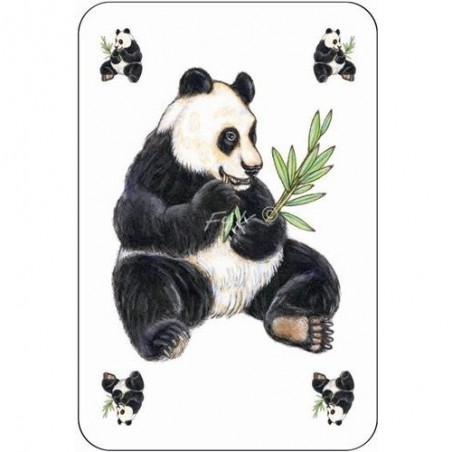 Jeux de Cartes - Zanimatch - Jeu de société - Djeco