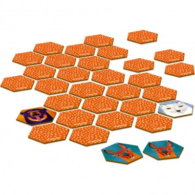Jeu de Mémoire Memo Dingo Dès 7 ans - Djeco