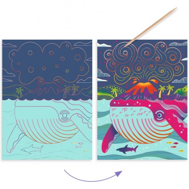 Cartes à gratter duo color Dessus-dessous - Activité créative - Djeco