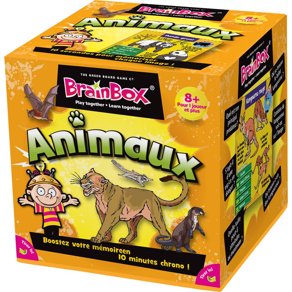 Green Board Games Brain Box Animaux