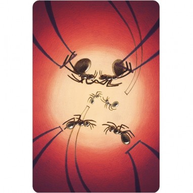 Dixit 8 Harmonies - Jeu de société - Libellud - Asmodee