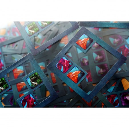 Betta - Jeux de société - Synapses Games