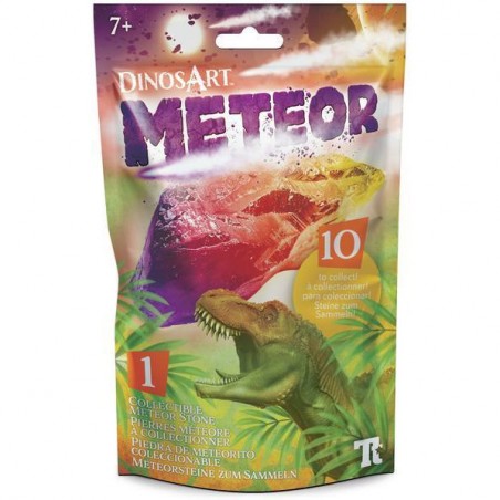 Pierres météores à collectionner - DinosArt - Dinos Art