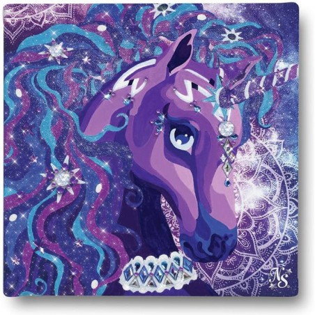 Peinture aux numéros sur toile - Nebulous Stars