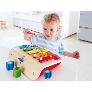 Mon premier xylophone trieur de formes - hape - Hape Toys