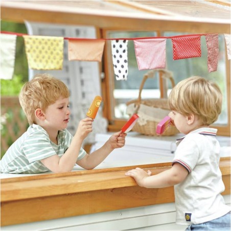 Plateau de sorbet complet - Un jeu - Hape