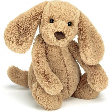 Peluche Chien Toffee Bashful - 18 cm - Jellycat