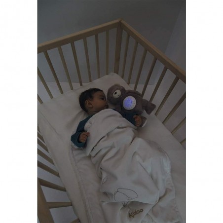 Veilleuse bébé projection plafond Ours Kaloo
