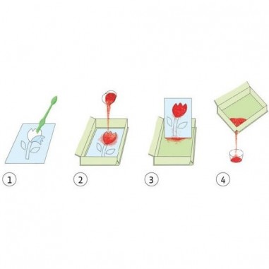 Sables colorés : en plein air - Djeco