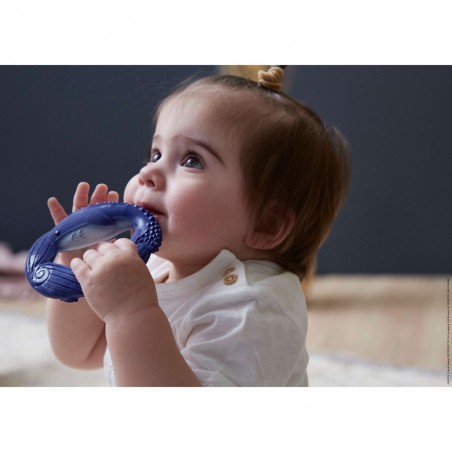 Anneau de dentition baleine Petit calme - Kaloo