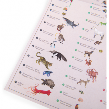 Mappemonde avec décalcomanies Tout autour du monde - Moulin Roty