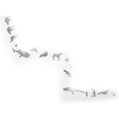 Mappemonde avec décalcomanies Tout autour du monde - Moulin Roty