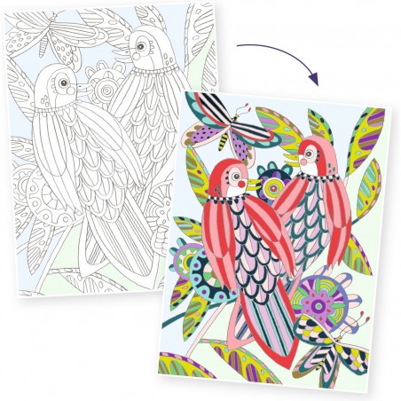 Colouring Gallery : Oiseaux - Un jeu - Djeco