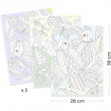 Colouring Gallery : Oiseaux - Un jeu - Djeco