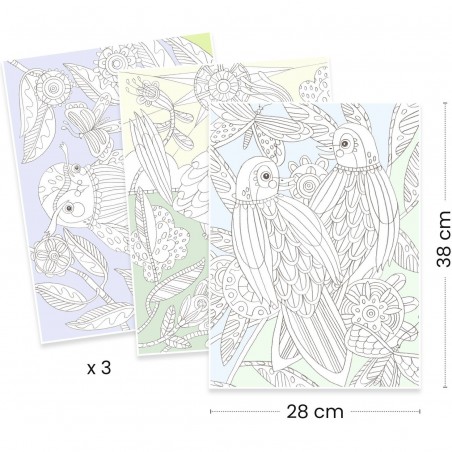 Colouring Gallery : Oiseaux - Un jeu - Djeco