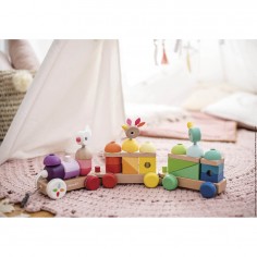 Train géant - Train géant multicolor zigolos - Janod 2