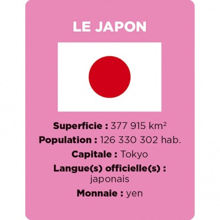 Cherche et trouve Les drapeaux - Jeu de société enfant - Janod