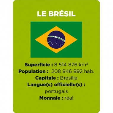 Cherche et trouve Les drapeaux - Jeu de société enfant - Janod