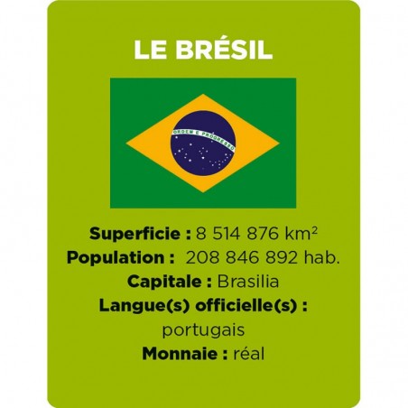 Cherche et trouve Les drapeaux - Jeu de société enfant - Janod