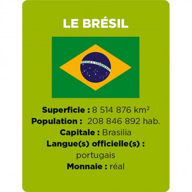 Cherche et trouve Les drapeaux - Jeu de société enfant - Janod