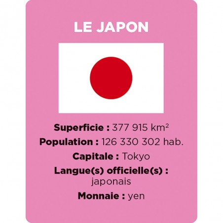 Cherche et trouve Les drapeaux - Jeu de société enfant - Janod