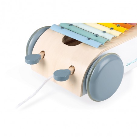 Xylo Roller Sweet Cocoon - Instrument de musique enfant - Janod