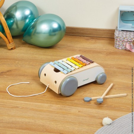 Xylo Roller Sweet Cocoon - Instrument de musique enfant - Janod