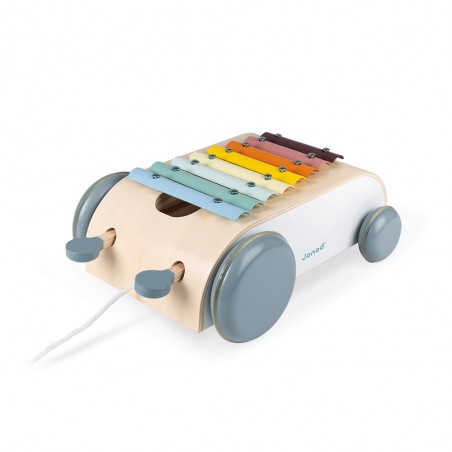 Xylo Roller Sweet Cocoon - Instrument de musique enfant - Janod