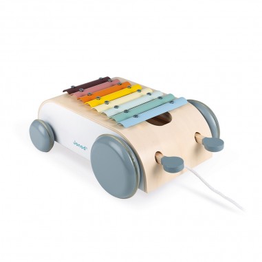 Xylo Roller Sweet Cocoon - Instrument de musique enfant - Janod