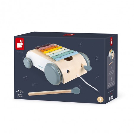 Xylo Roller Sweet Cocoon - Instrument de musique enfant - Janod