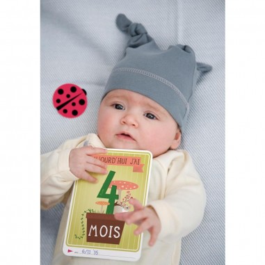 Cartes Photos "Ma première année en photos" - "l'originale" - boîte filmée - Milestone Cartes Photos "Ma première année en photos" - "l'originale" - boîte filmée - Milestone