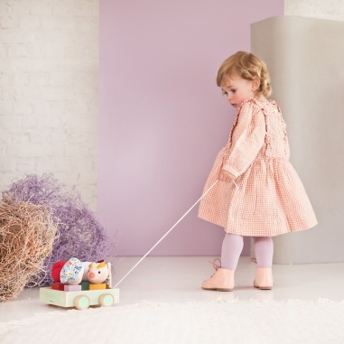 Louis voiture picnic à  tirer et a formes - Lilliputiens