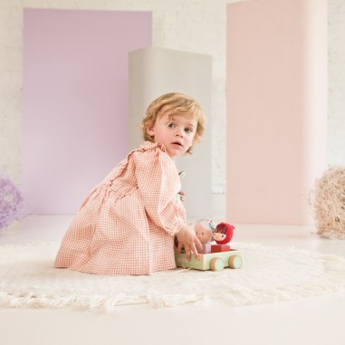 Louis voiture picnic à  tirer et a formes - Lilliputiens