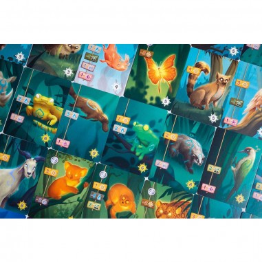 Living Forest - Jeux de société - Ludonaute