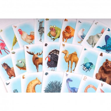 Fabulia - Jeux de société - Boardgames Ltd - Lifestyle