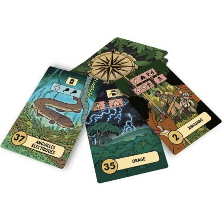 L'Expédition Perdue - Jeu de société - Nuts Publishing