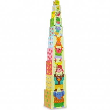 Cubes gigognes - Vilac