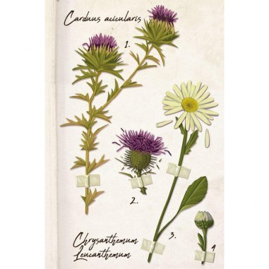 Au Creux De Ta Main - Jeux de société - La Boite De Jeu