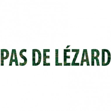 Pas de Lézard - Jeu de société - Editions - Flip Flap