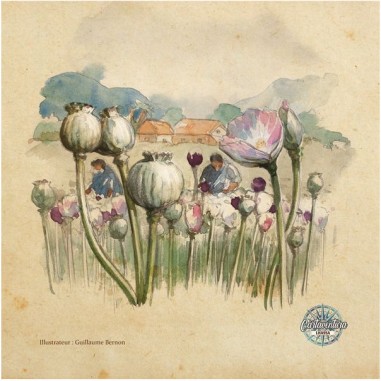 Cartaventura: Lhassa - Jeux de société - Blam