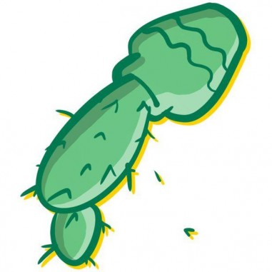 Mot pour Mot - 2ème édition - Un jeu - Le Scorpion Masqué