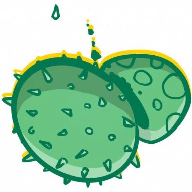 Mot pour Mot - 2ème édition - Un jeu - Le Scorpion Masqué