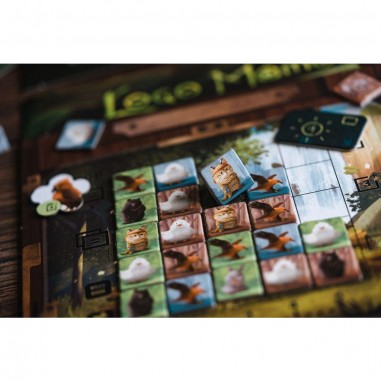 Loco Momo - Jeux de société - Blam