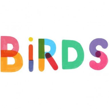 Gamme Logic - Birds - Editions - Jeux de société - Bankiiiz