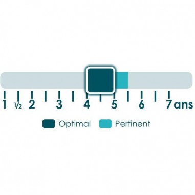 En Mission chez les Dinosaures - Un jeu - Placote