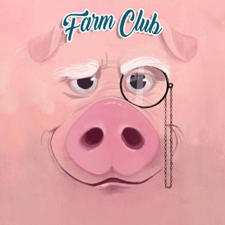 Jeu Farm Club - Jeu de placement - Blam